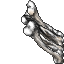 bones