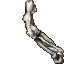 bones