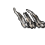 bones