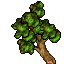 large branch