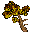 large branch