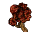 large branch