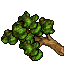 large branch