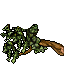 large branch