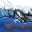 shallow water