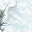 frozen wall