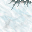 frozen wall
