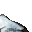 snowy stone
