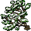 snowy pine tree