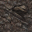 rock