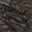 rock