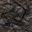 rock