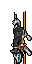 husky