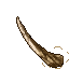 bone
