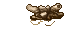 bones
