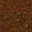 dirt