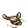 bone
