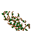 vines