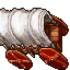 covered wagon