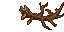 branch