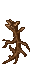 branch