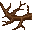 branch