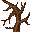 branch