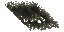 burnt wall