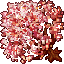 cherry blossom tree