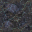 ocean floor