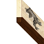 framework wall
