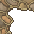 pavement