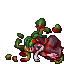 dead medusa