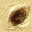 hole