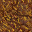 dried grass