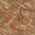 dirt mud