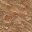 dirt mud