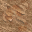 dirt mud