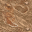 dirt mud