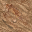 dirt mud