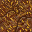 dried grass