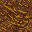 dried grass