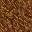 dried grass