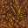 dried grass