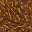 dried grass