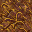 dried grass