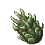 jade spike plant