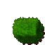 plant's hedge