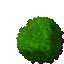 plant's hedge