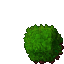 plant's hedge